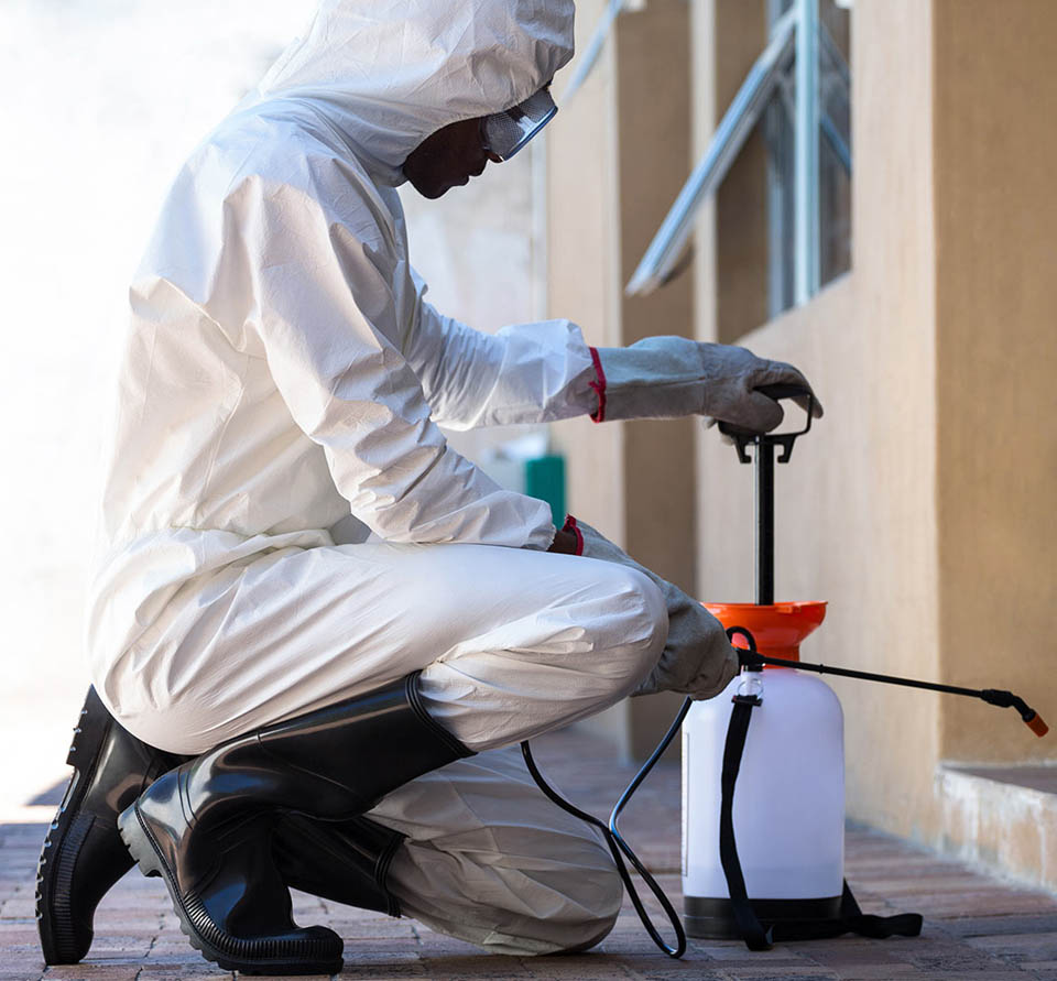 Fumigation Services service by Official Pest Pros in Fresno CA