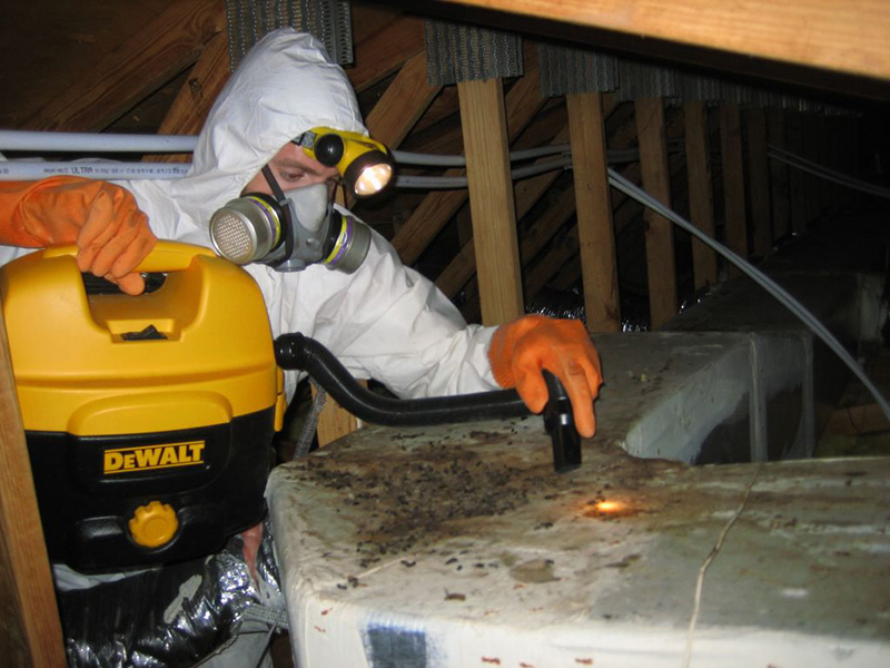 Official Pest Pros exterminator treating commercial property in Fresno California