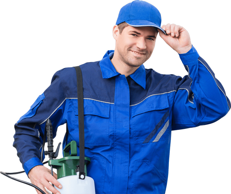 Licensed exterminator treating a Fresno CA home zip 93711 for pests