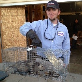Trevor, Owner of Official Pest Pros pest control company in Fresno California